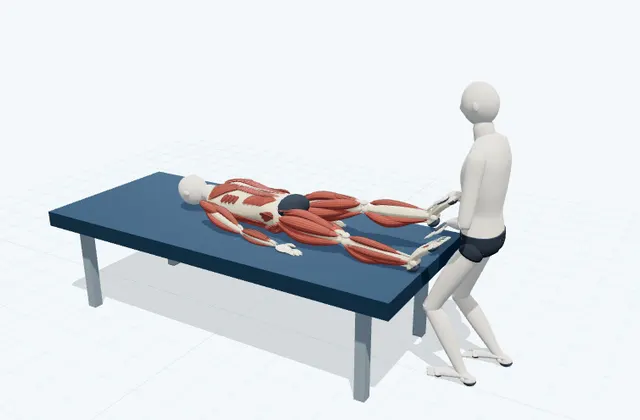 A schematic 3D view of Anterior Ankle Stretch