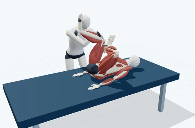 A schematic 3D view of Assisted Figure-Four
