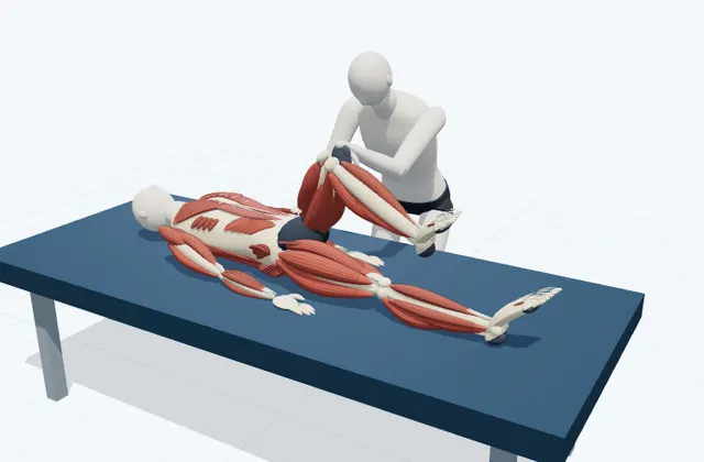A schematic 3D view of Assisted Lateral Hip Stretch