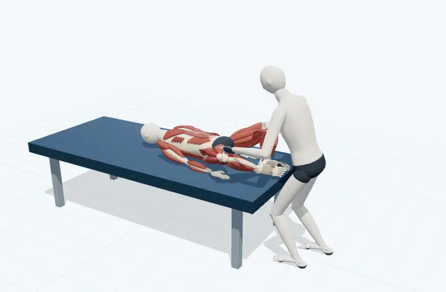 A schematic 3D view of Bilateral Groin Stretch