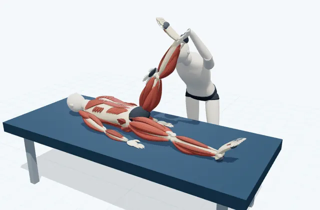 A schematic 3D view of Lateral Hamstring Bias