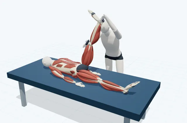 A schematic 3D view of Supported Straight-Leg Raise