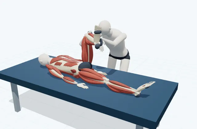 A schematic 3D view of Supported Hip External Rotation
