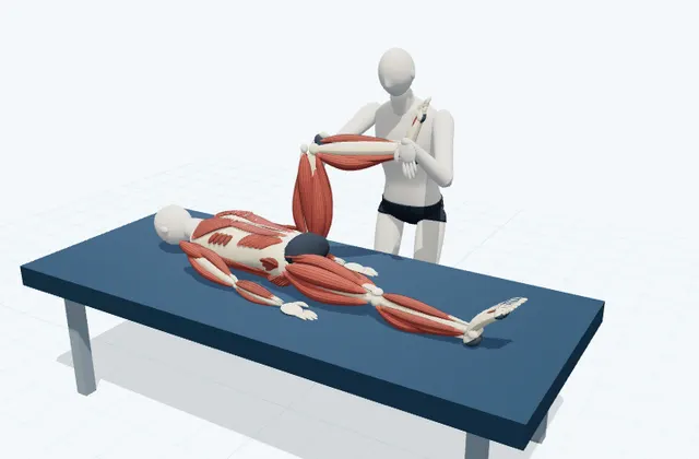 A schematic 3D view of Supported Hip Internal Rotation