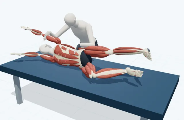 A schematic 3D view of Side-Lying Lateral Stretch