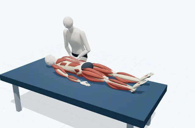 A schematic 3D view of Pectoralis Major Stretch