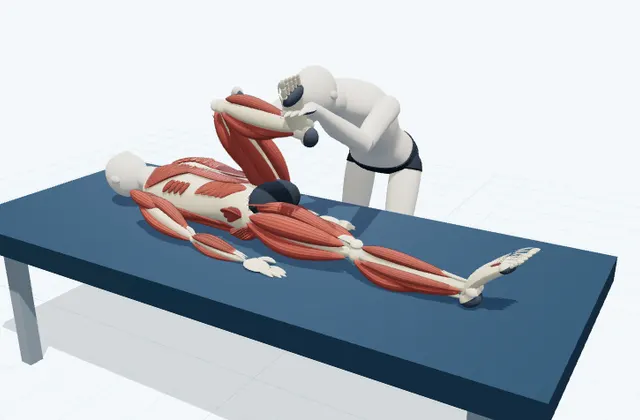 A schematic 3D view of Assisted Piriformis Stretch