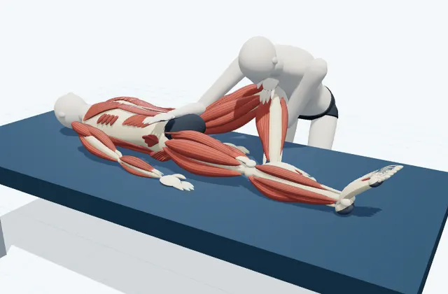 A schematic 3D view of Adductor PNF Stretch