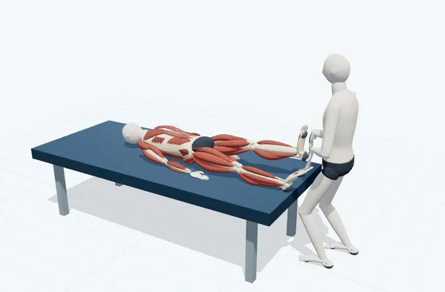 A schematic 3D view of Gastrocnemius PNF Stretch