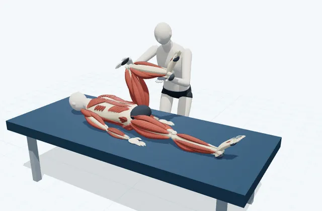 A schematic 3D view of Gluteus Maximus PNF Stretch