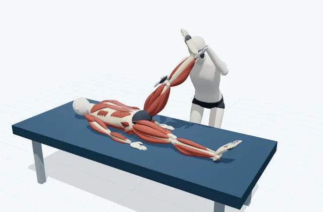 A schematic 3D view of Hamstring PNF Stretch