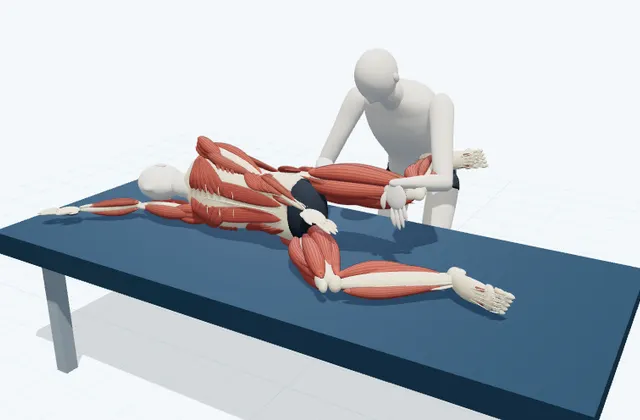 A schematic 3D view of Hip Flexor PNF Stretch