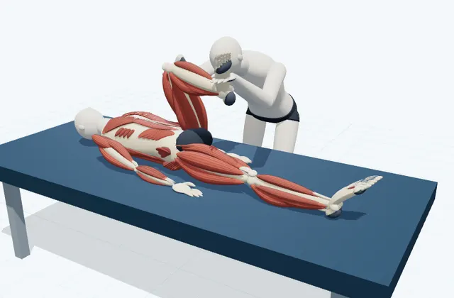 A schematic 3D view of Piriformis PNF Stretch