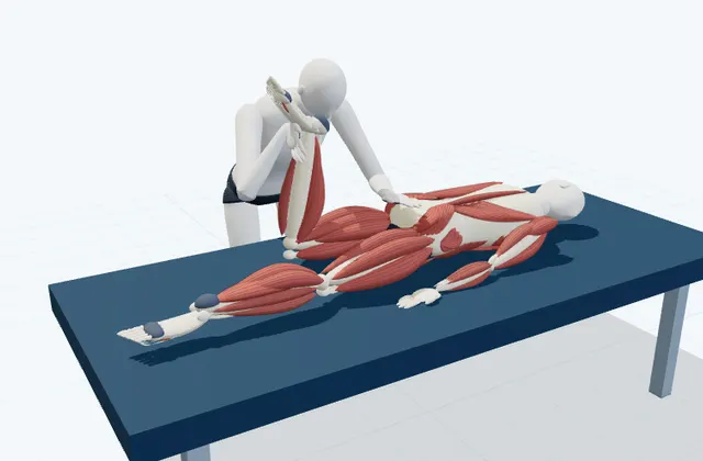 A schematic 3D view of Quadriceps PNF Stretch