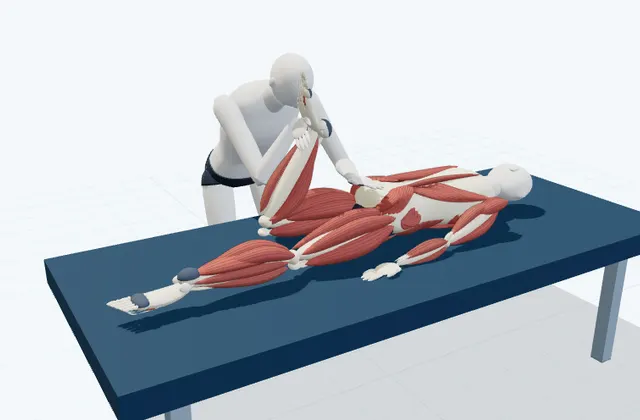 A schematic 3D view of Assisted Prone Quadriceps Stretch