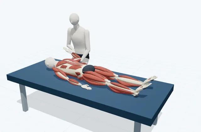 A schematic 3D view of Supported Shoulder External Rotation