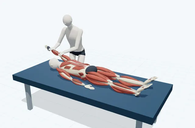 A schematic 3D view of Supported Shoulder Flexion