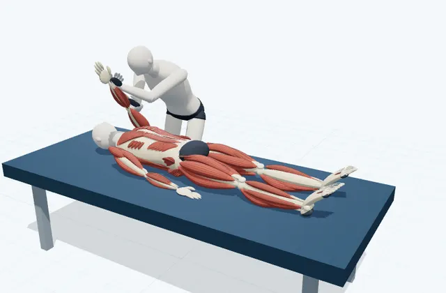 A schematic 3D view of Supported Cross-Body Stretch