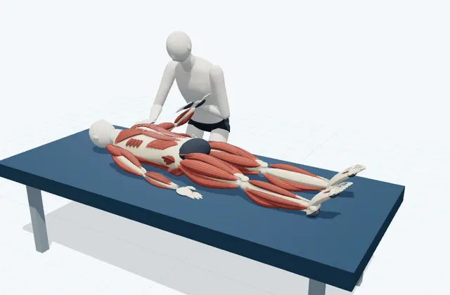 A schematic 3D view of Supported Shoulder Internal Rotation