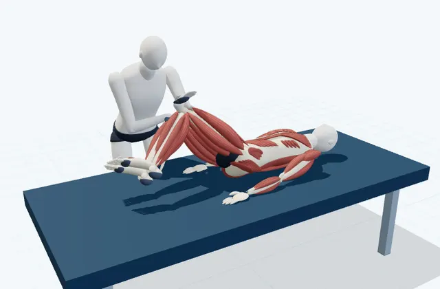 A schematic 3D view of Assisted Supine Trunk Rotation
