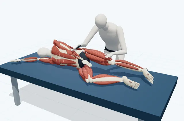 A schematic 3D view of Side-Lying Lateral Hip Stretch