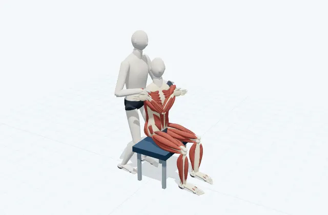 A schematic 3D view of Assisted Seated Thoracic Rotation