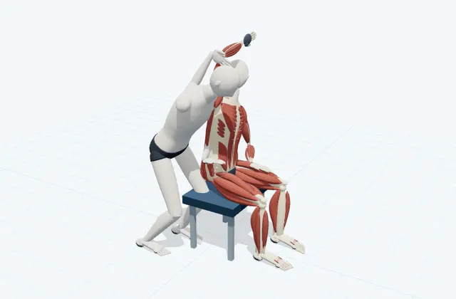 A schematic 3D view of Assisted Seated Side Bend
