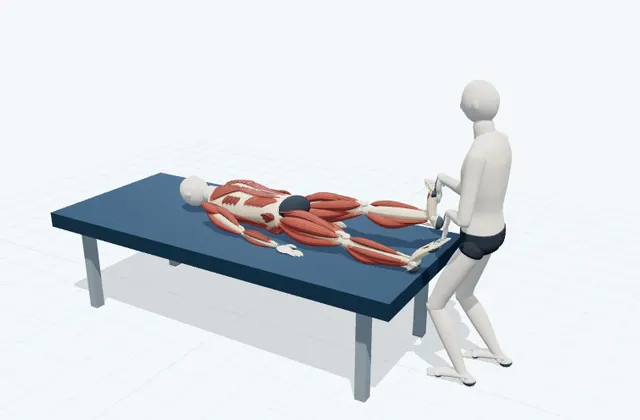A schematic 3D view of Supported Toe Extension