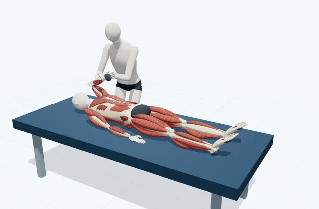 A schematic 3D view of Assisted Triceps Stretch