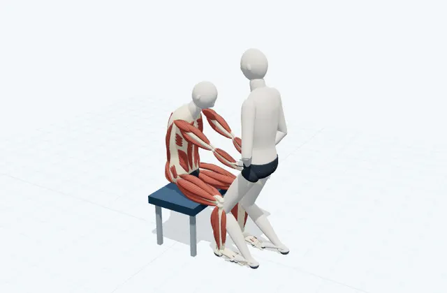 A schematic 3D view of Assisted Upper-Back Stretch