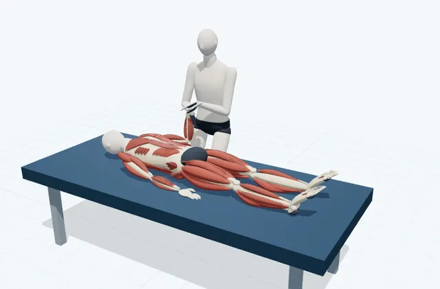 A schematic 3D view of Supported Wrist Flexion