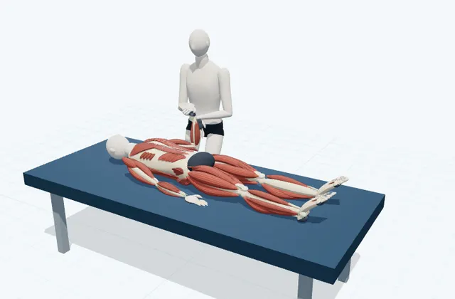 A schematic 3D view of Supported Wrist Extension